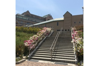 Image1 medium